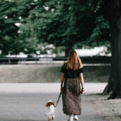 How to Adjust the Settings on Your TUG 360° Tangle-Free Dog Training Leash