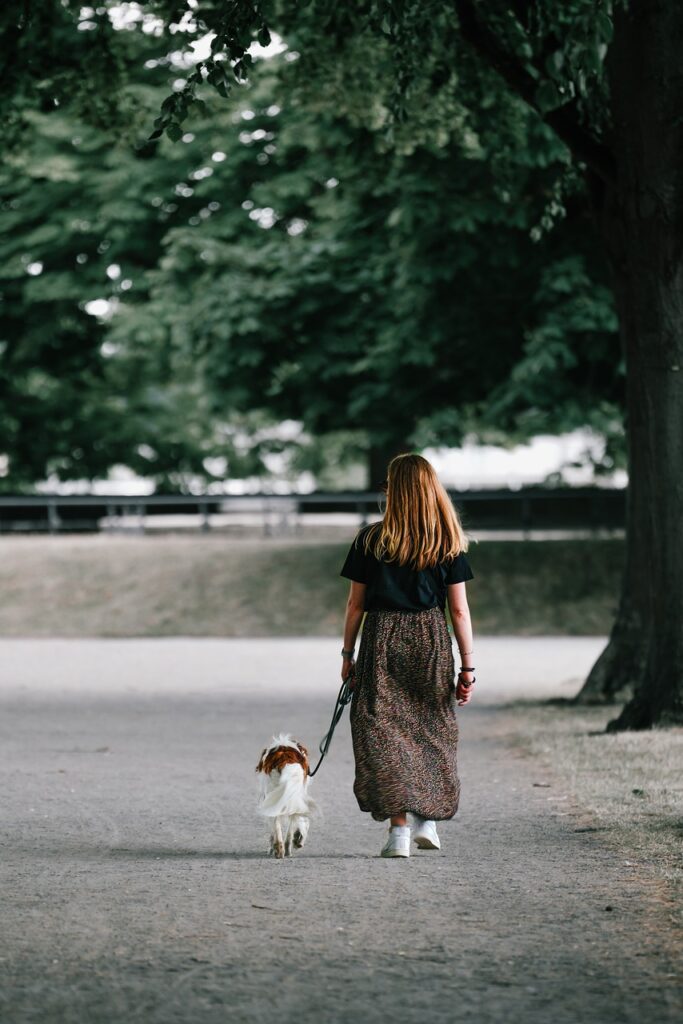 How to Adjust the Settings on Your TUG 360° Tangle-Free Dog Training Leash