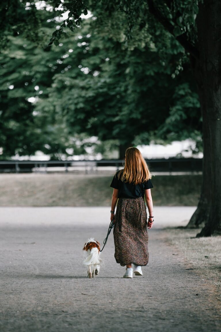 How to Adjust the Settings on Your TUG 360° Tangle-Free Dog Training Leash