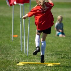PawHut Dog Agility Training Set: Boost Your Pup's Skills Today!