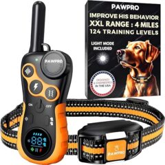 Top 6 Dog Training Collars You Need to Try!